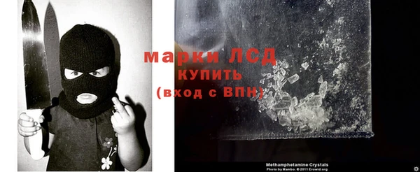 гидропоника Пестово