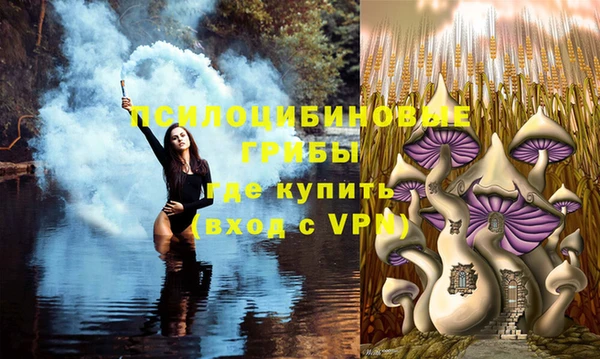гидропоника Пестово